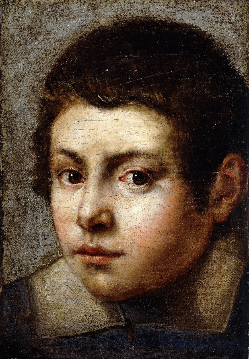 Testa di un Ragazzo da Northern Italian School