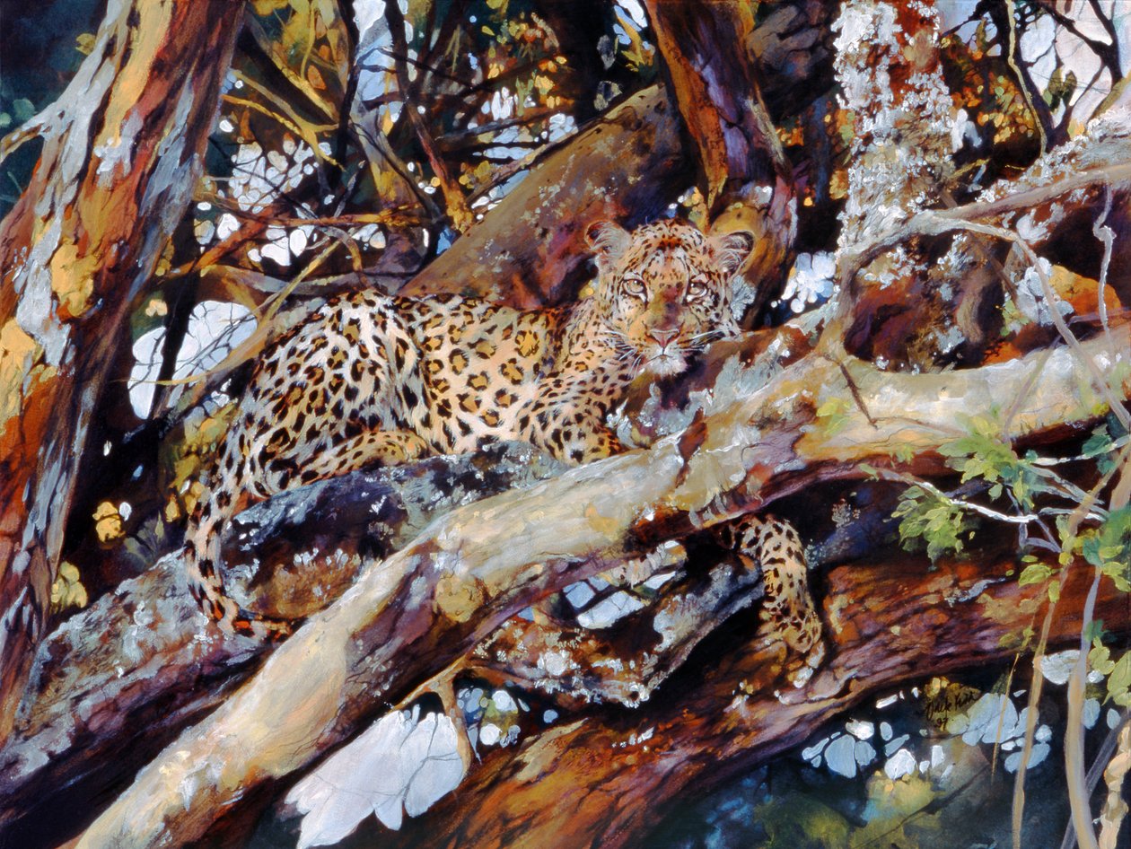 Leopardo keniota da Odile Kidd