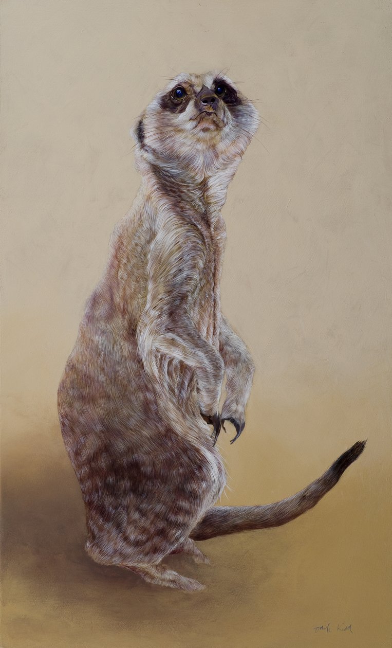 Meerkat 2, 2010 (acrilico su legno) da Odile Kidd