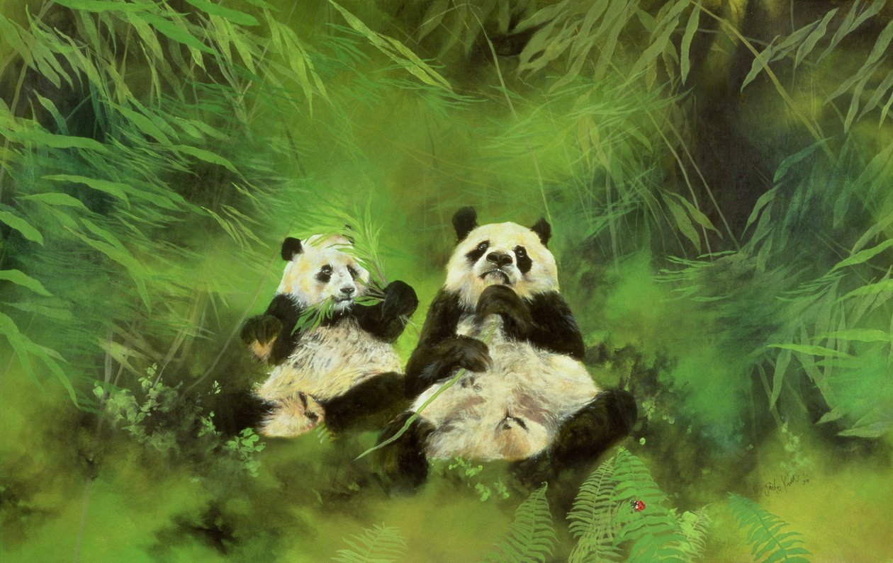Panda da Odile Kidd