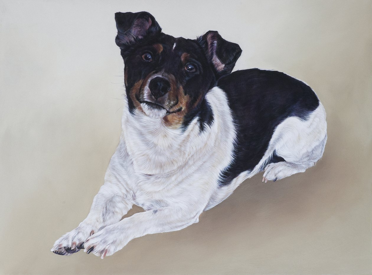 Spike, 2012 (acrilico su legno) da Odile Kidd