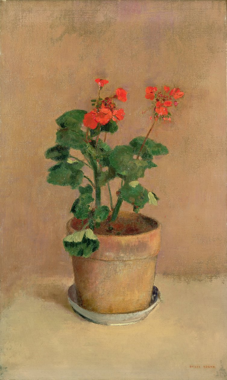 Gerani in un Vaso, c.1905 da Odilon Redon