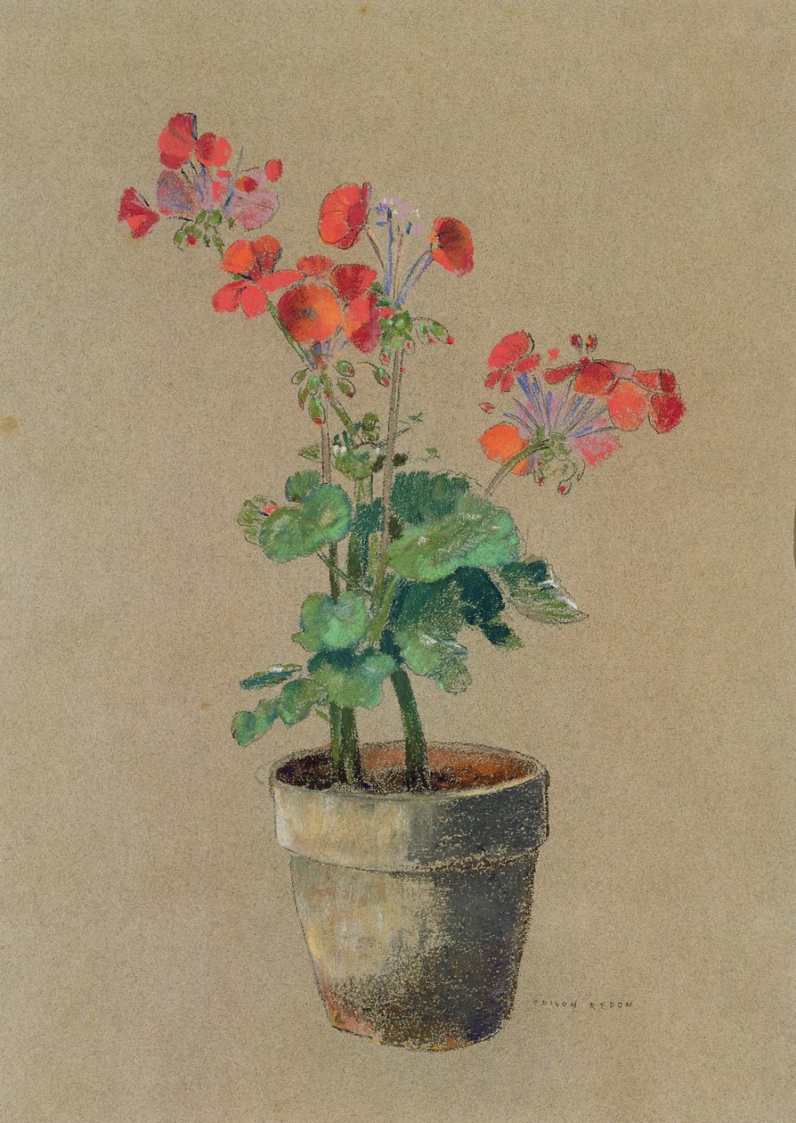 Gerani in un vaso da Odilon Redon