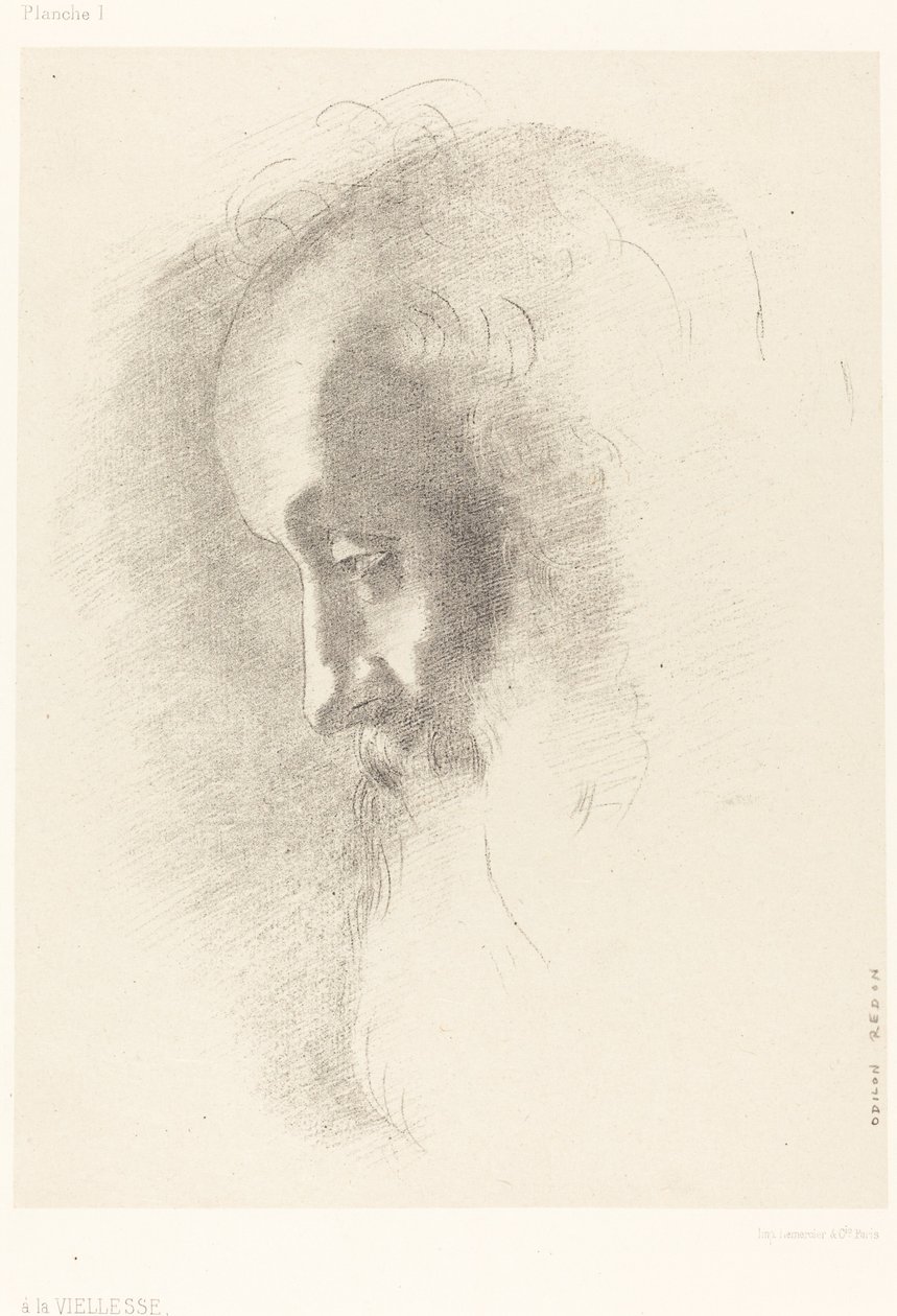 Alla vecchiaia da Odilon Redon