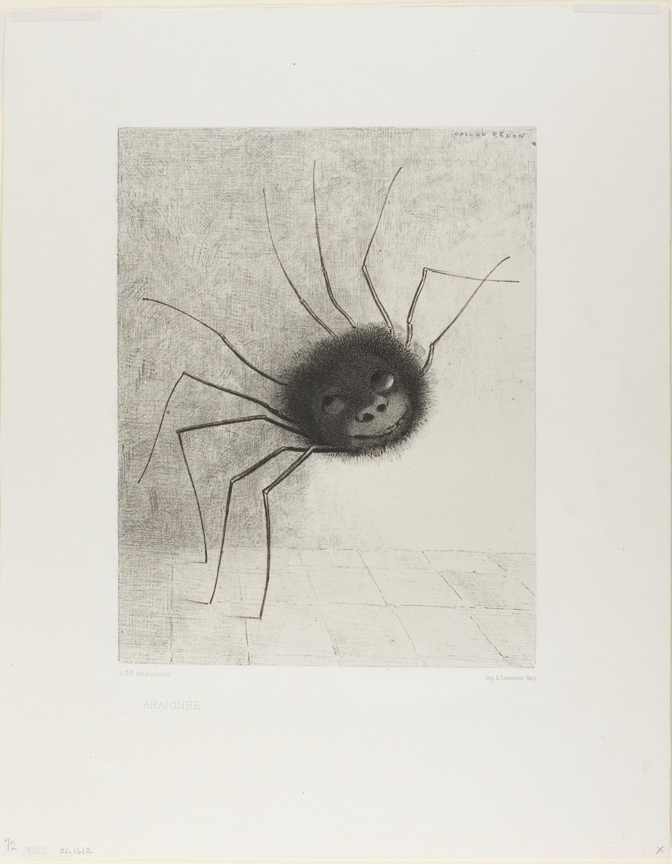 Ragno da Odilon Redon