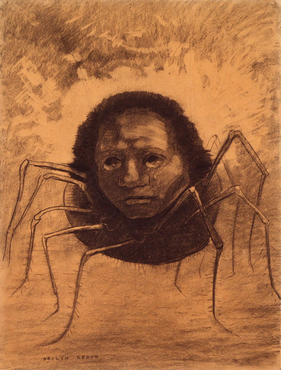 Il ragno piangente da Odilon Redon