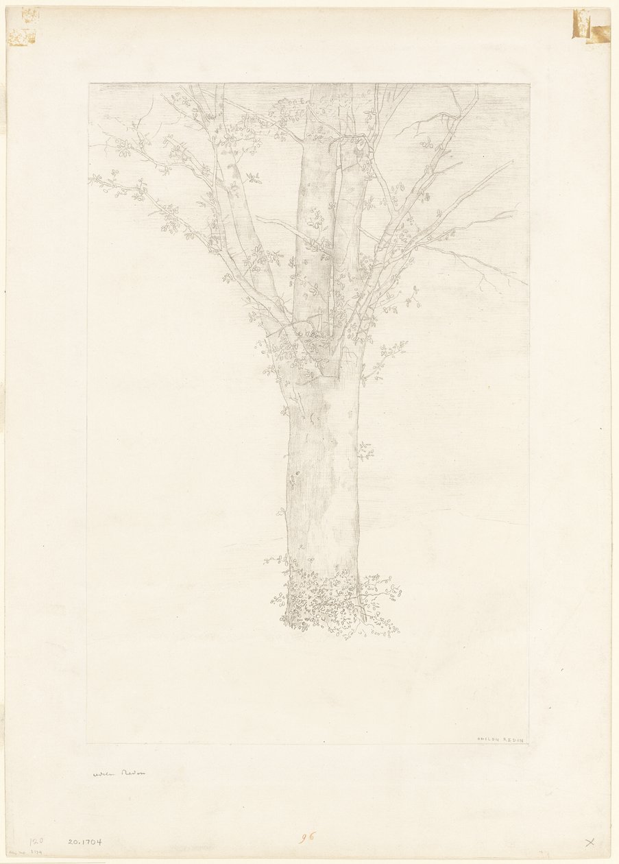 Albero da Odilon Redon