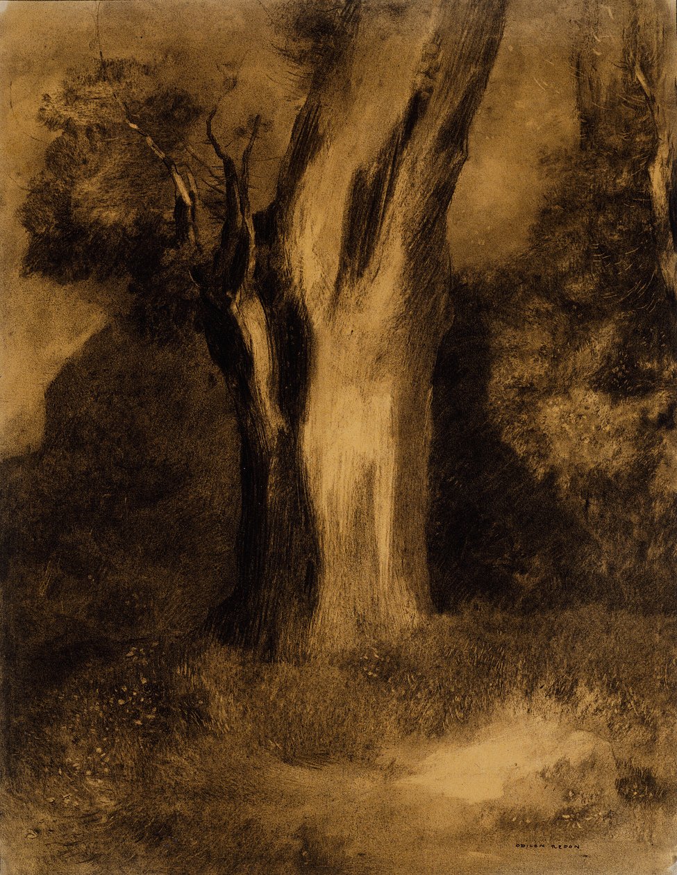 Albero da Odilon Redon