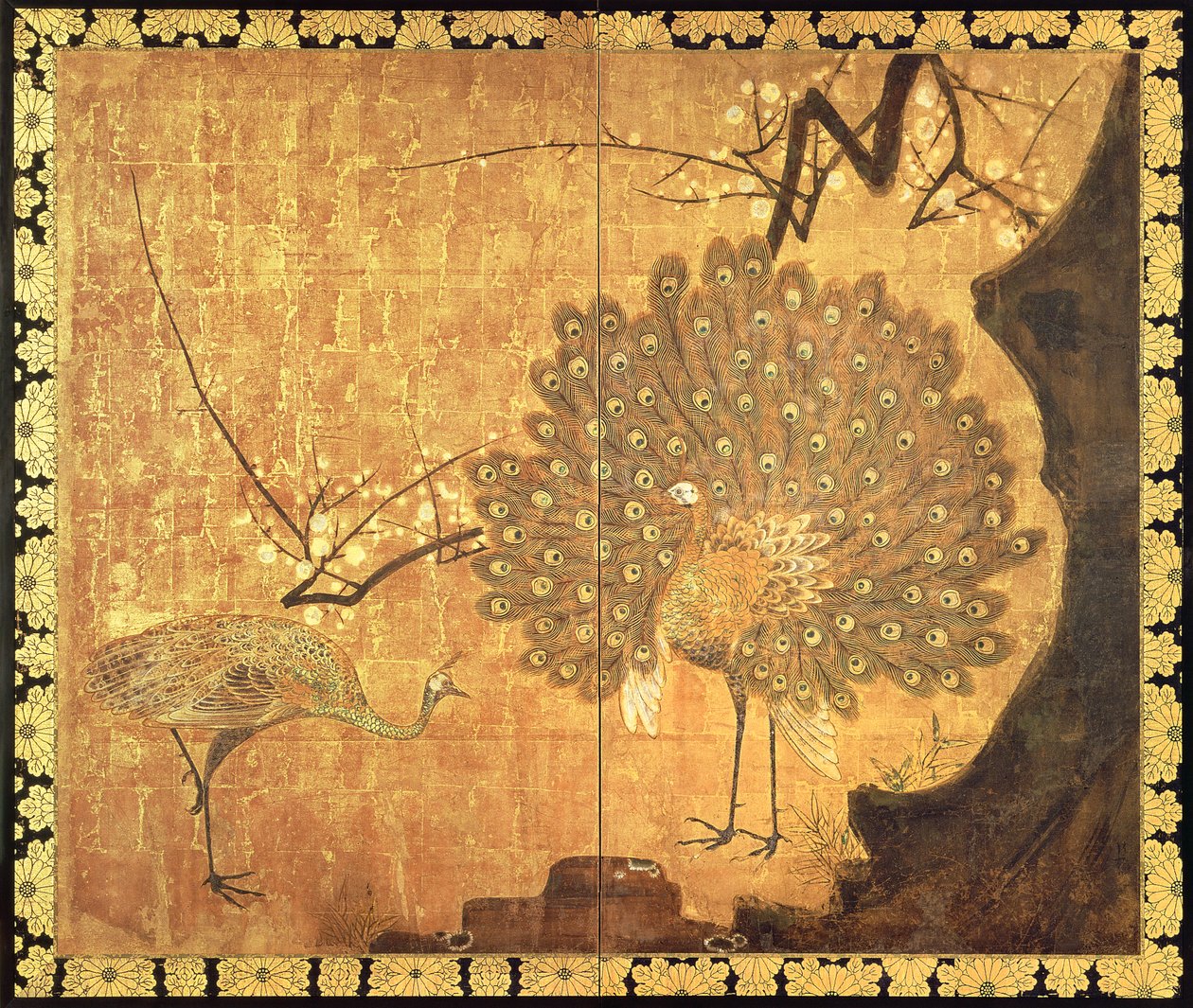 Pavoni, periodo Edo da Ogata Korin