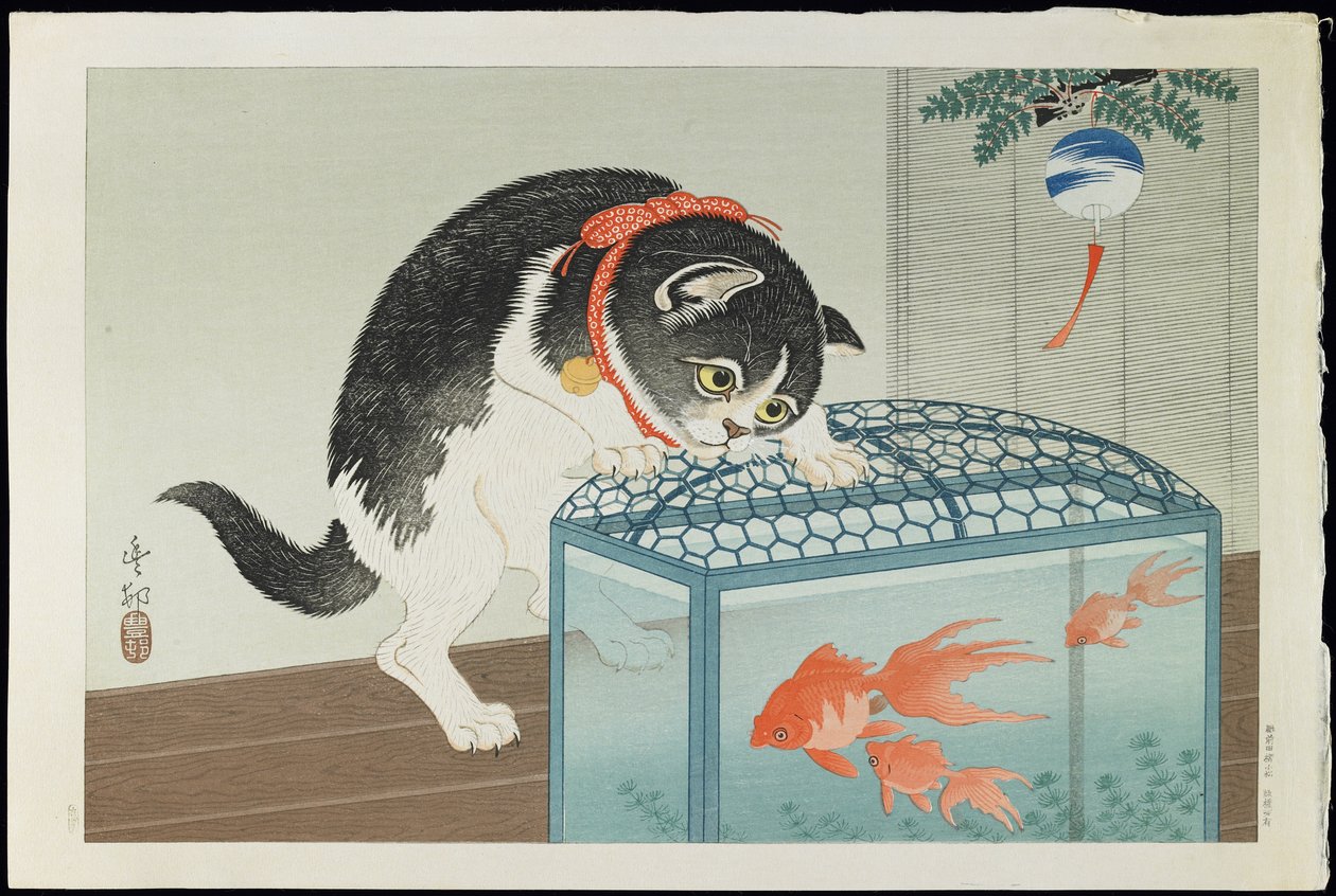 Gatto e pesce rosso, anni 