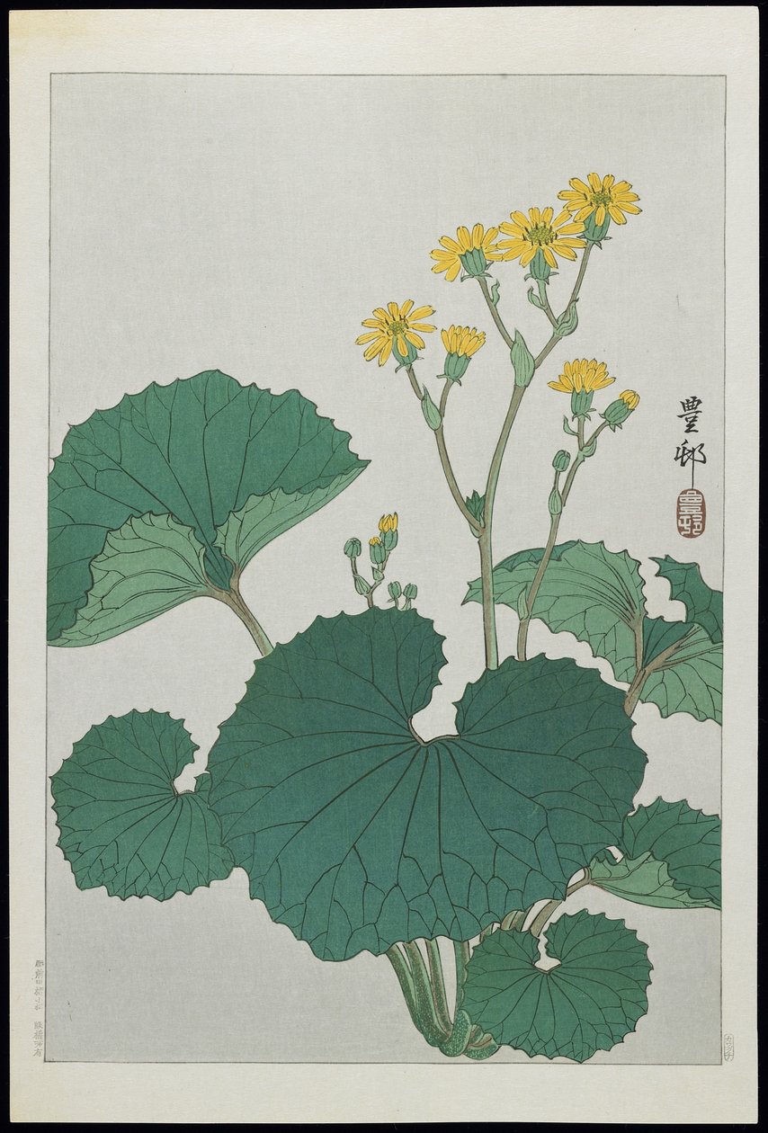 Fiori di foglie d