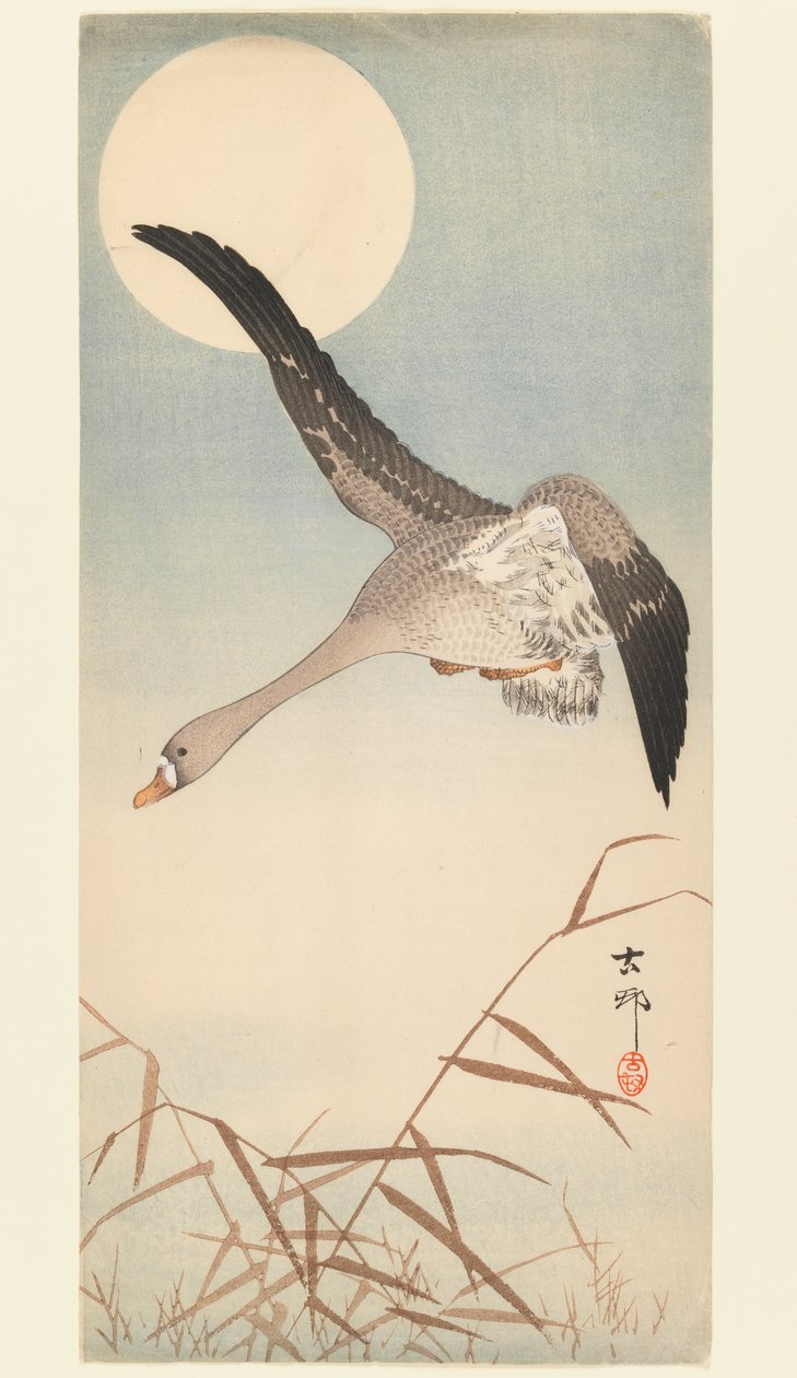 Oca che Vola al Chiaro di Luna, c.1910 da Ohara Koson