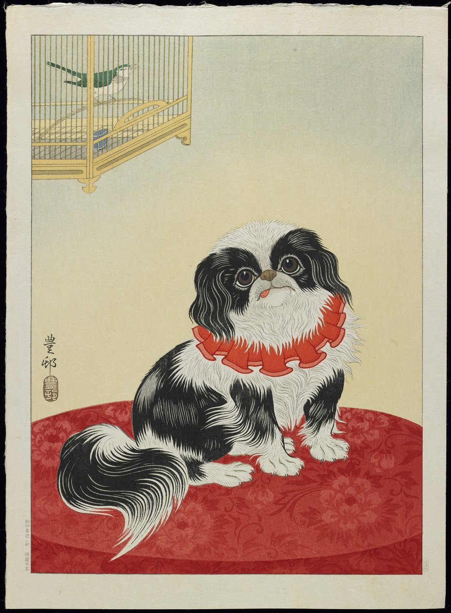 Cane carlino, anni 1930 da Ohara Koson