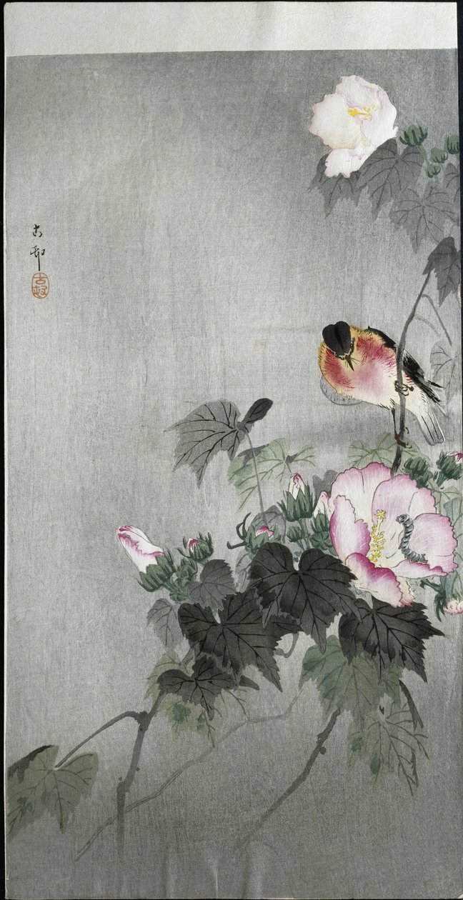Pettirosso e fiore in fiore da Ohara Koson