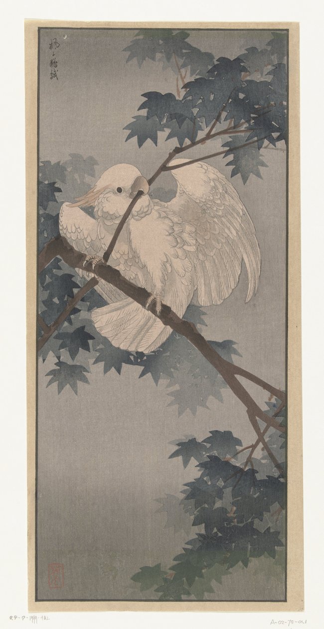 Cacatua a cresta gialla su albero da Ohara Koson (attributed to)