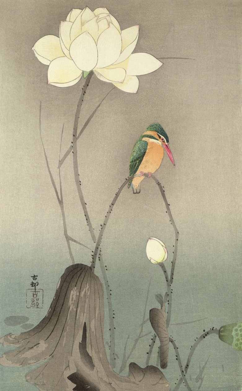 Un martin pescatore e un loto, c.1910 da Ohara Koson