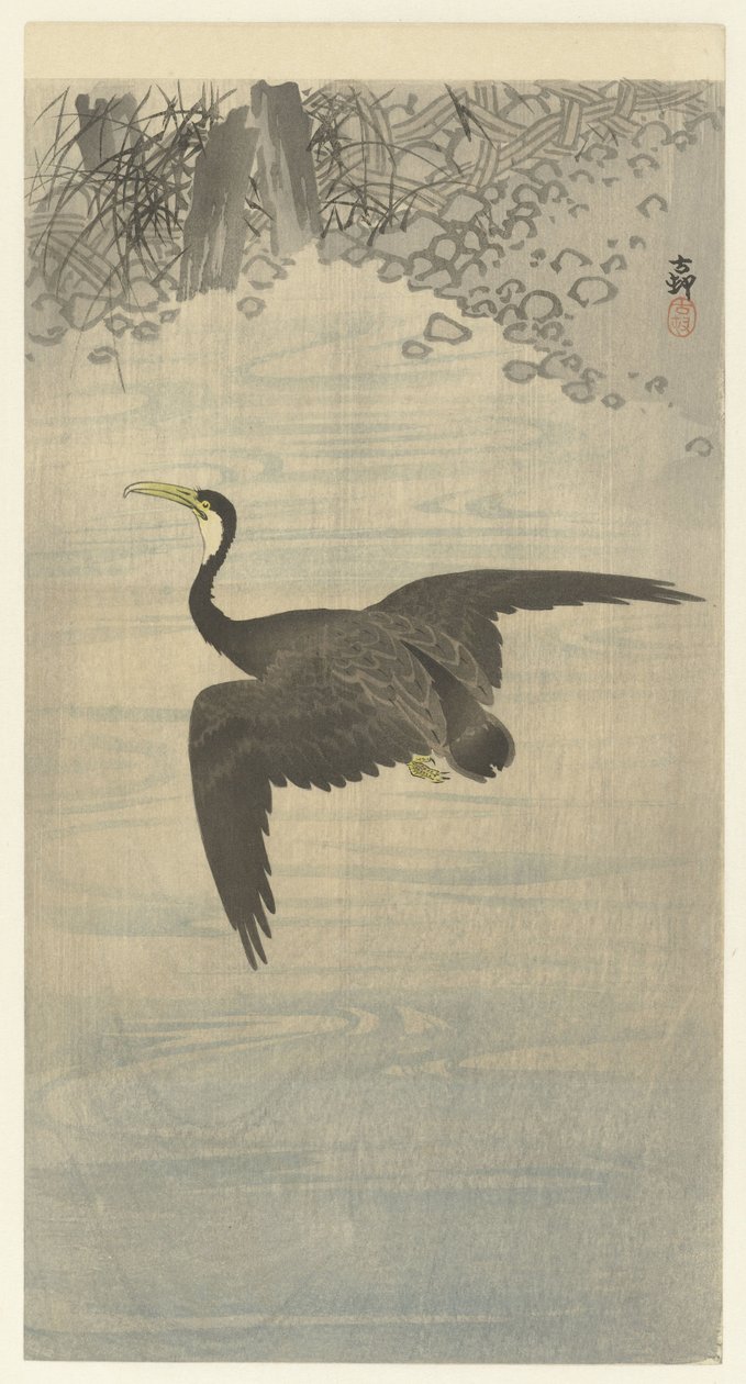 Cormorano in volo da Ohara Koson