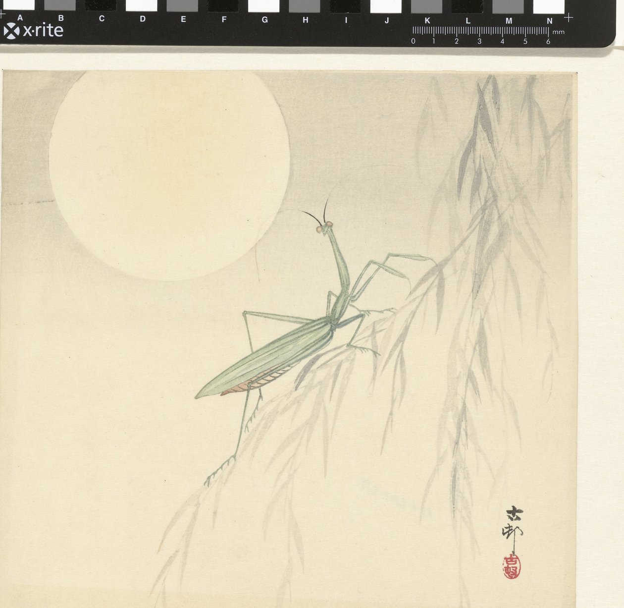 Mantide religiosa da Ohara Koson