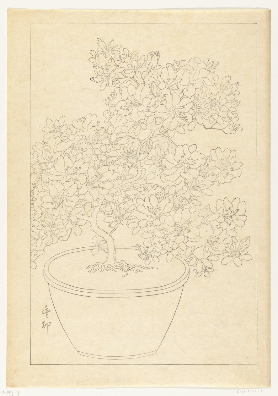 Azalea in fiore in vaso da Ohara Koson