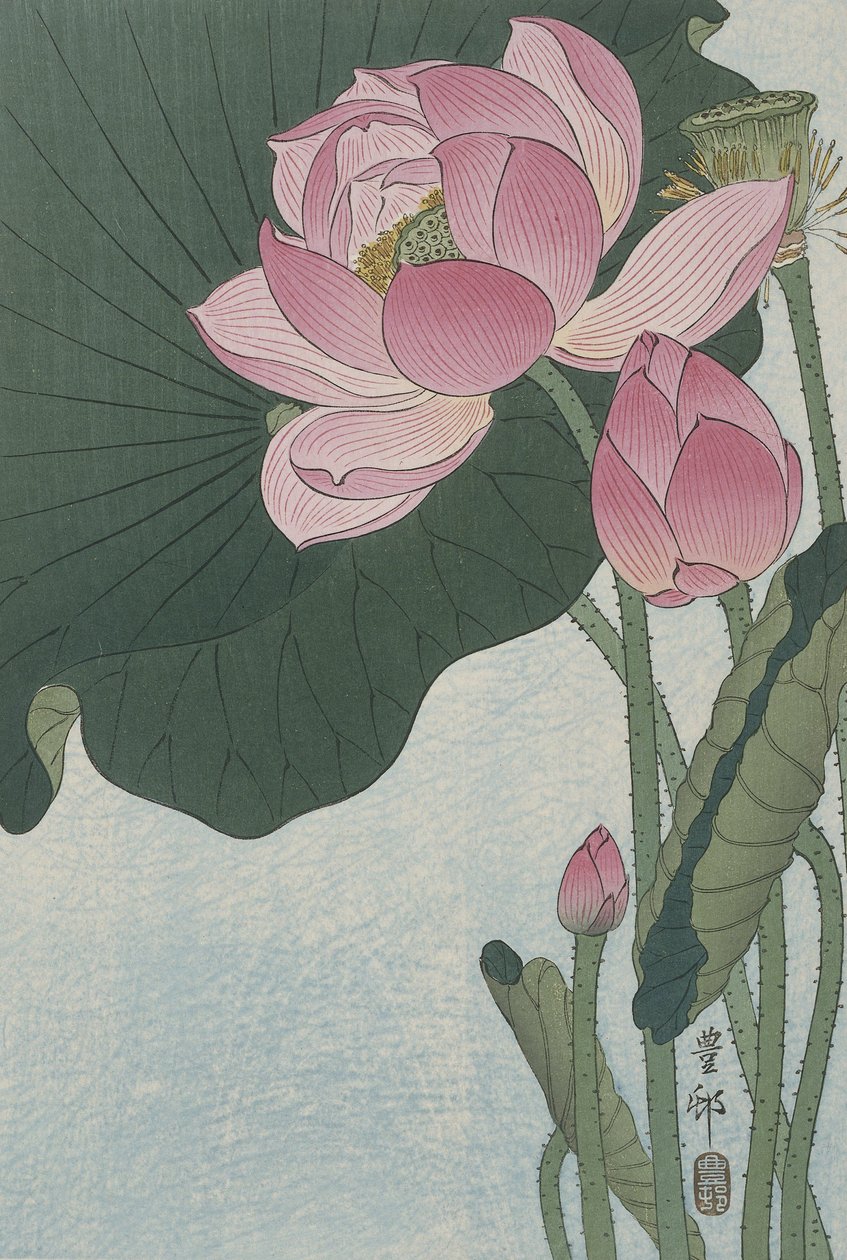 Fiori di loto in fiore da Ohara Koson