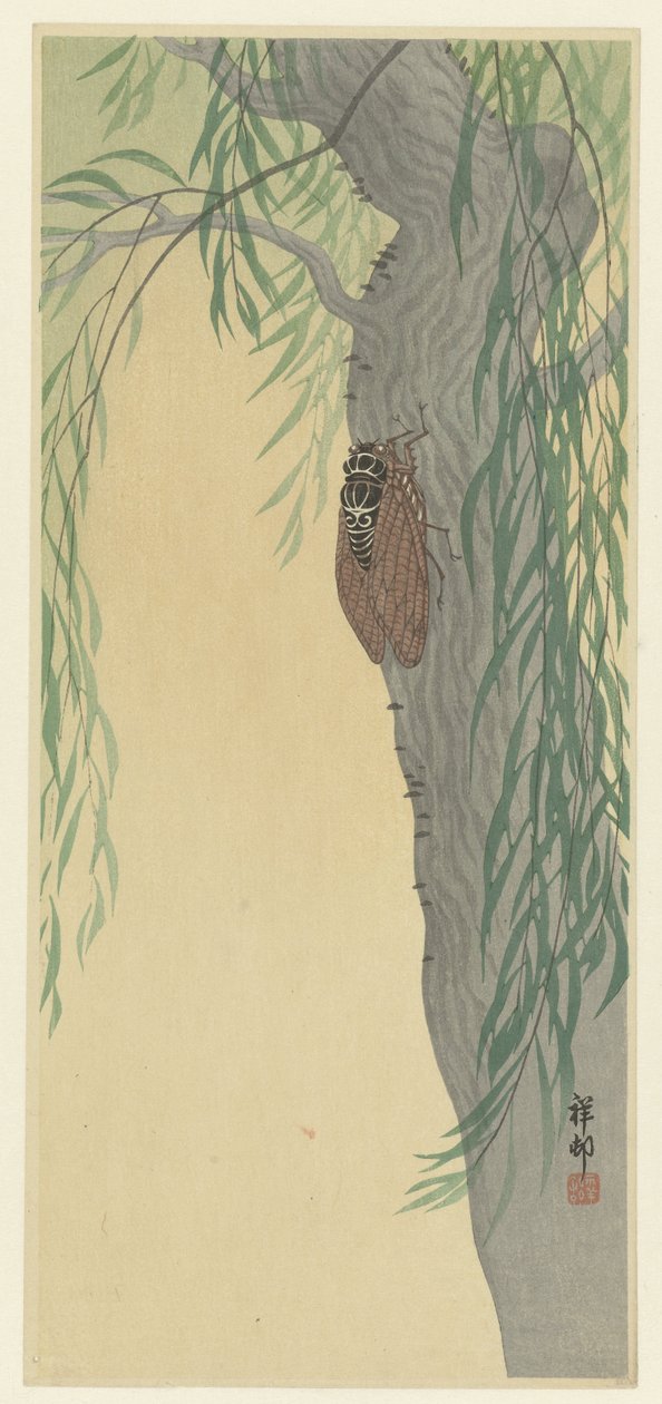 Cicala su un albero da Ohara Koson