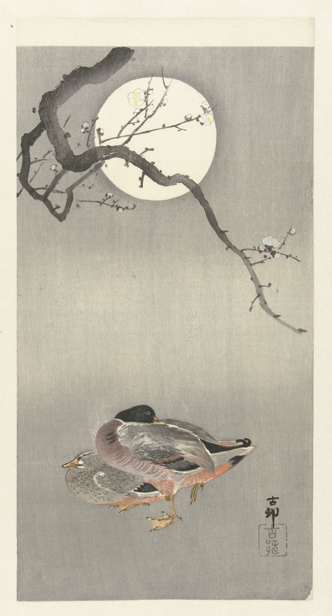 Anatre alla luna piena da Ohara Koson