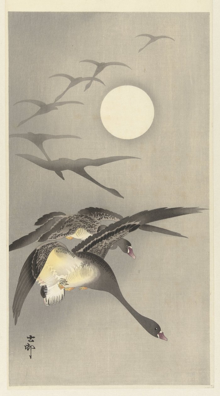 Oche alla luna piena da Ohara Koson