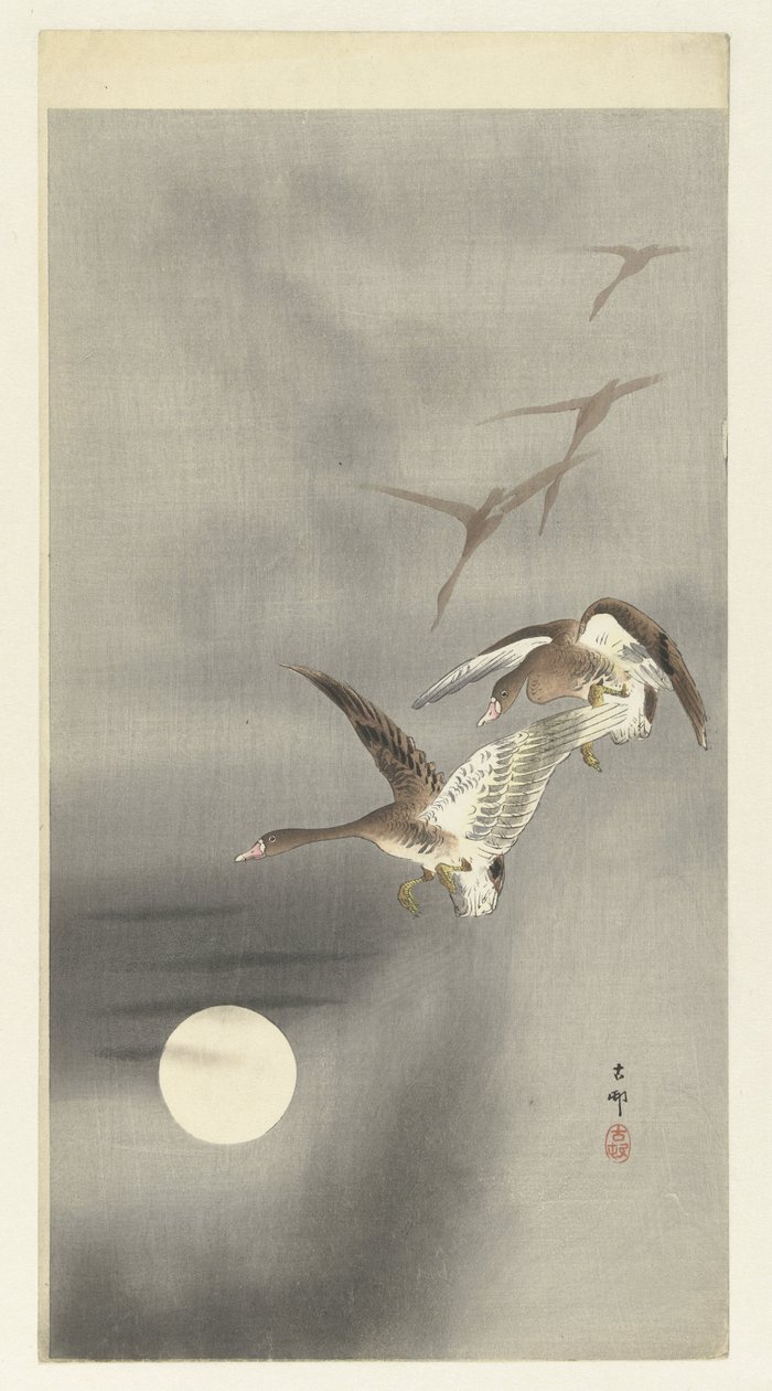 Oche in volo da Ohara Koson