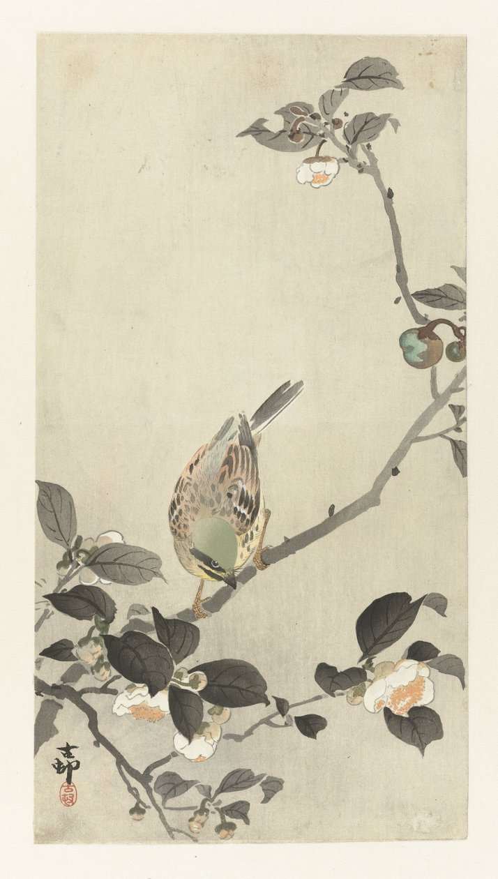 Gorrión su un ramo fiorito da Ohara Koson