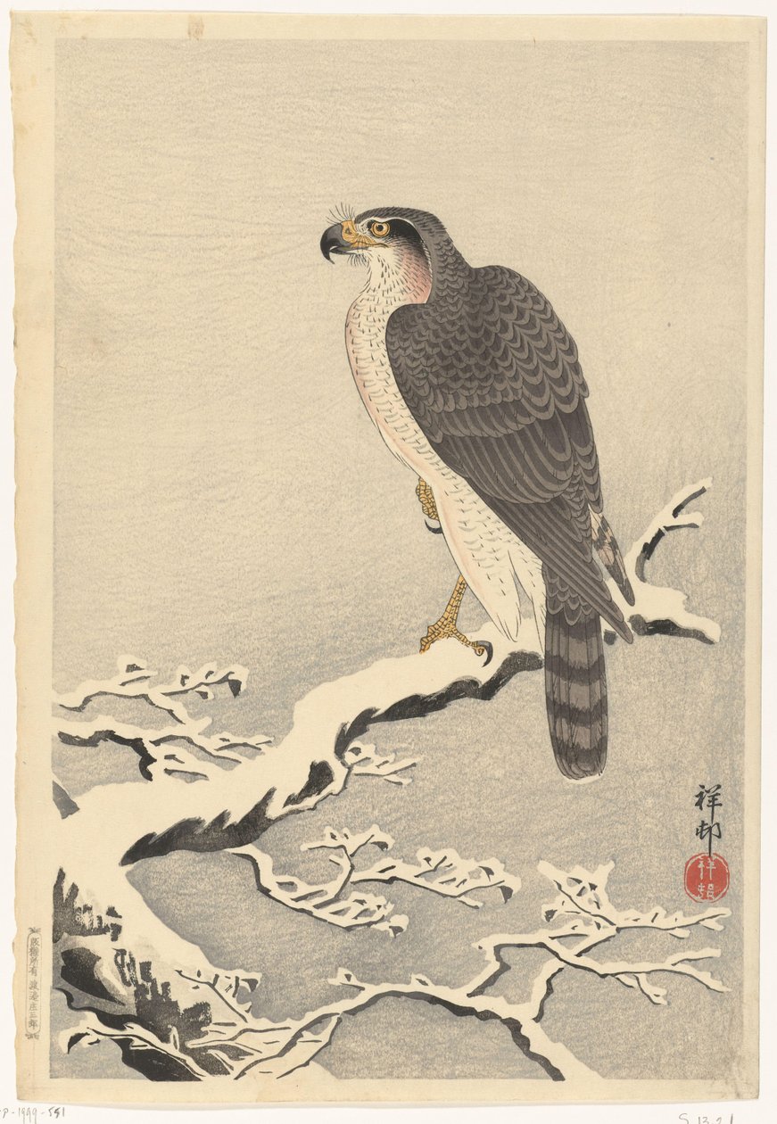 Falco su ramo di pino innevato da Ohara Koson