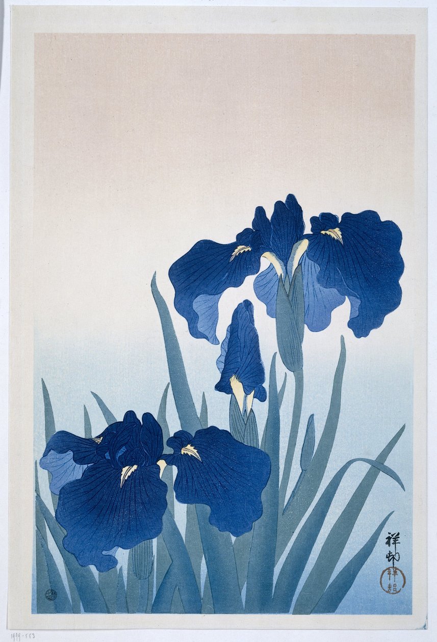 Iris da Ohara Koson