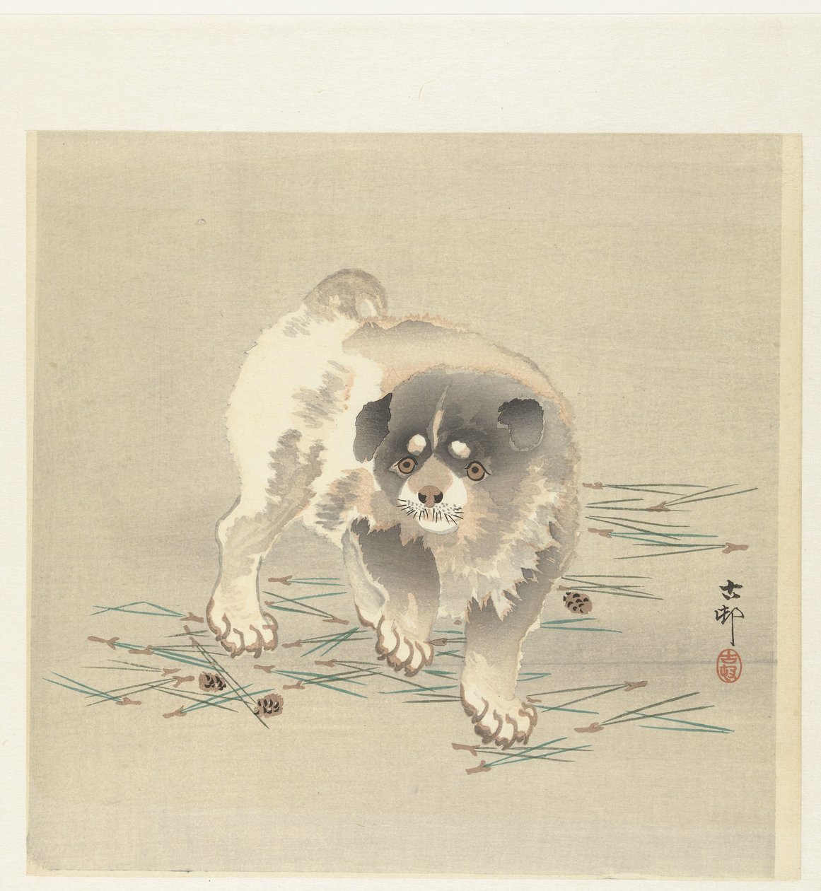 Cucciolo da Ohara Koson