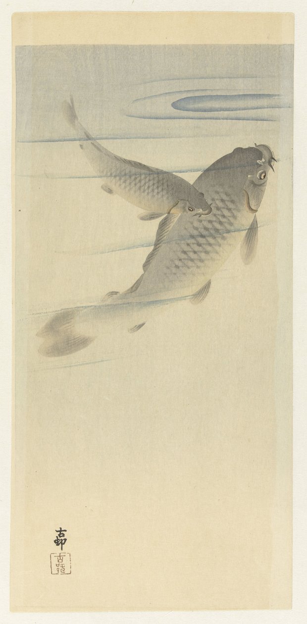 Carpe da Ohara Koson