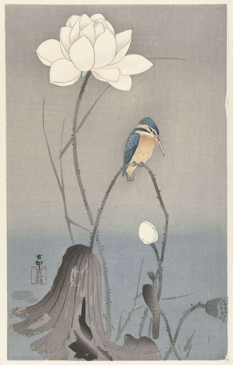 Martin pescatore con fiore di loto da Ohara Koson