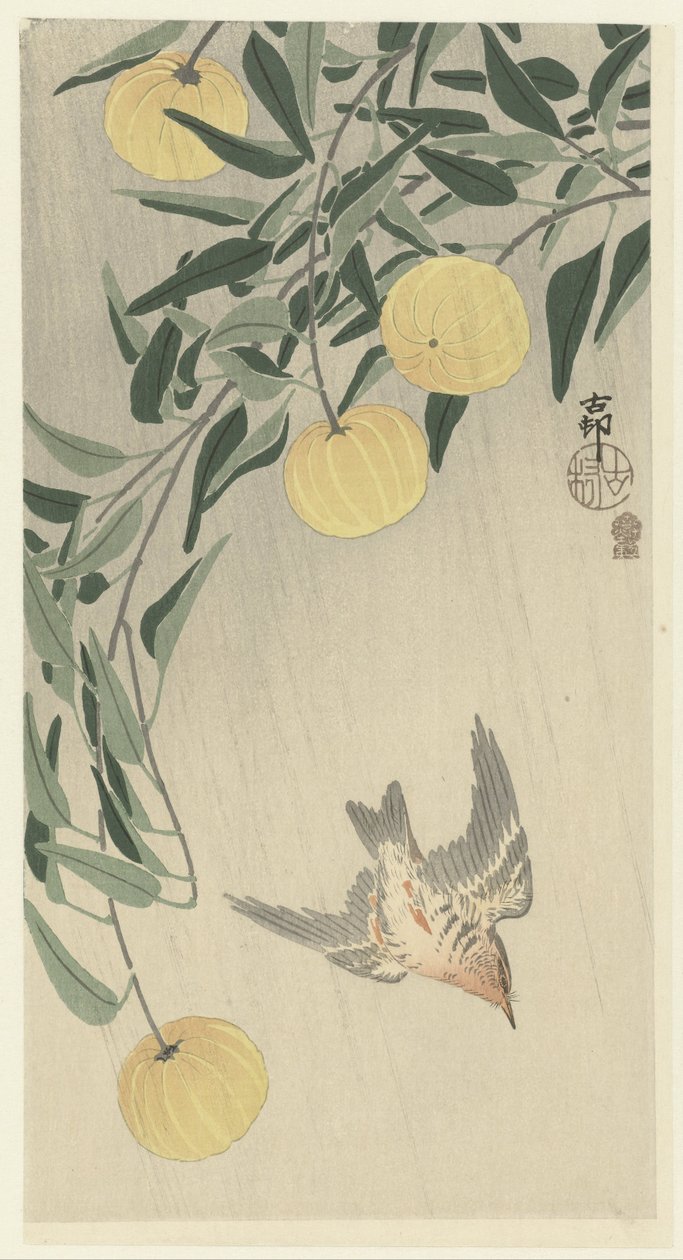 Cuculo sotto la pioggia da Ohara Koson