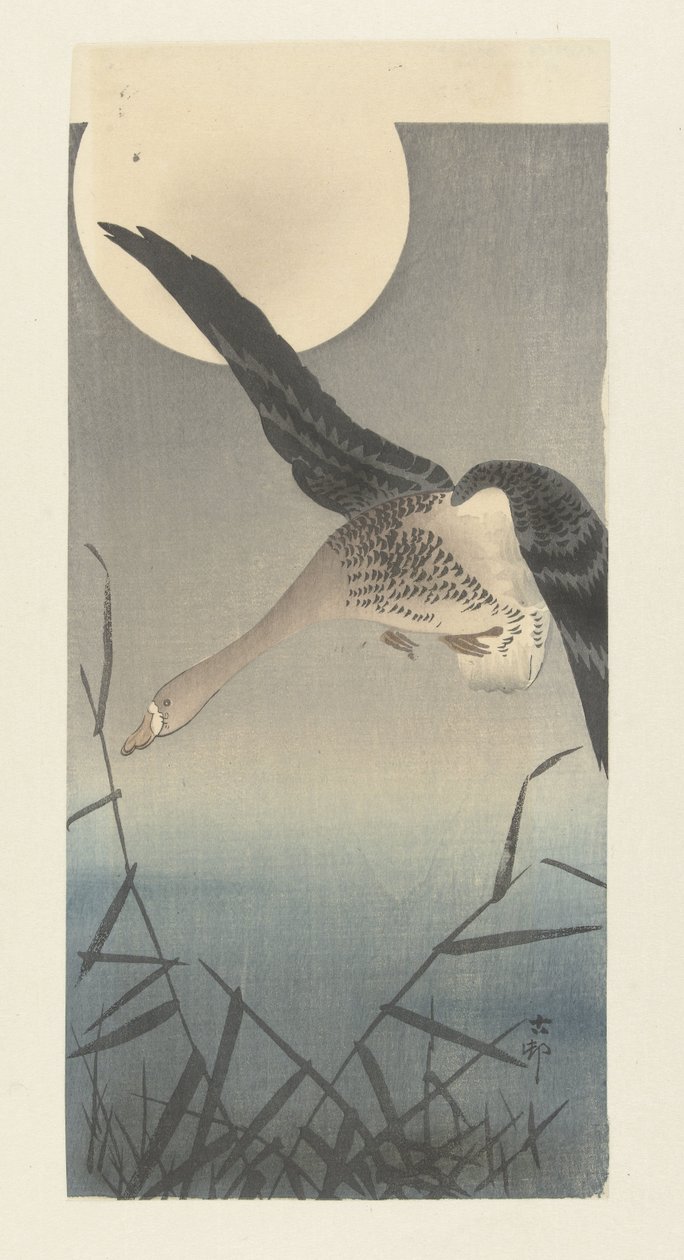 Oca selvatica alla luce della luna piena da Ohara Koson
