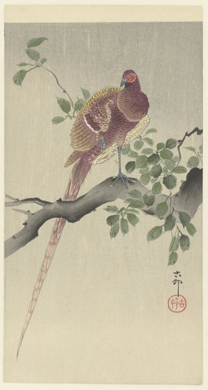 Fagiano di rame da Ohara Koson