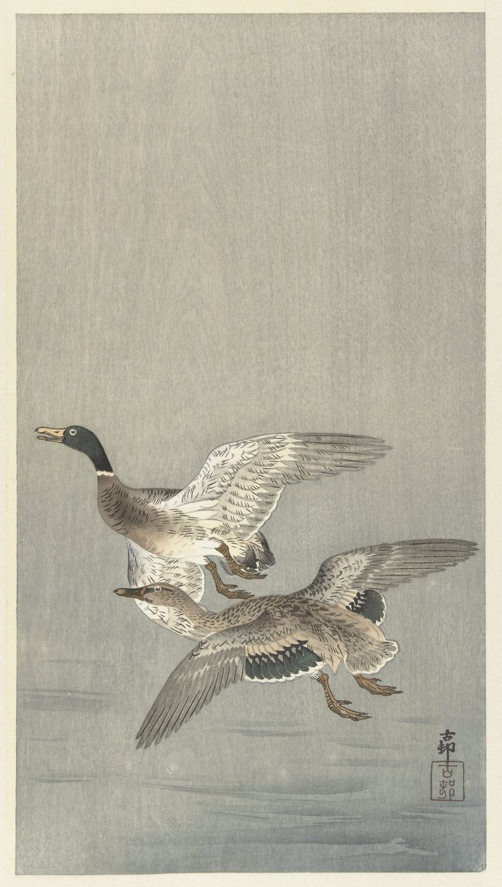 Coppia di anatre da Ohara Koson
