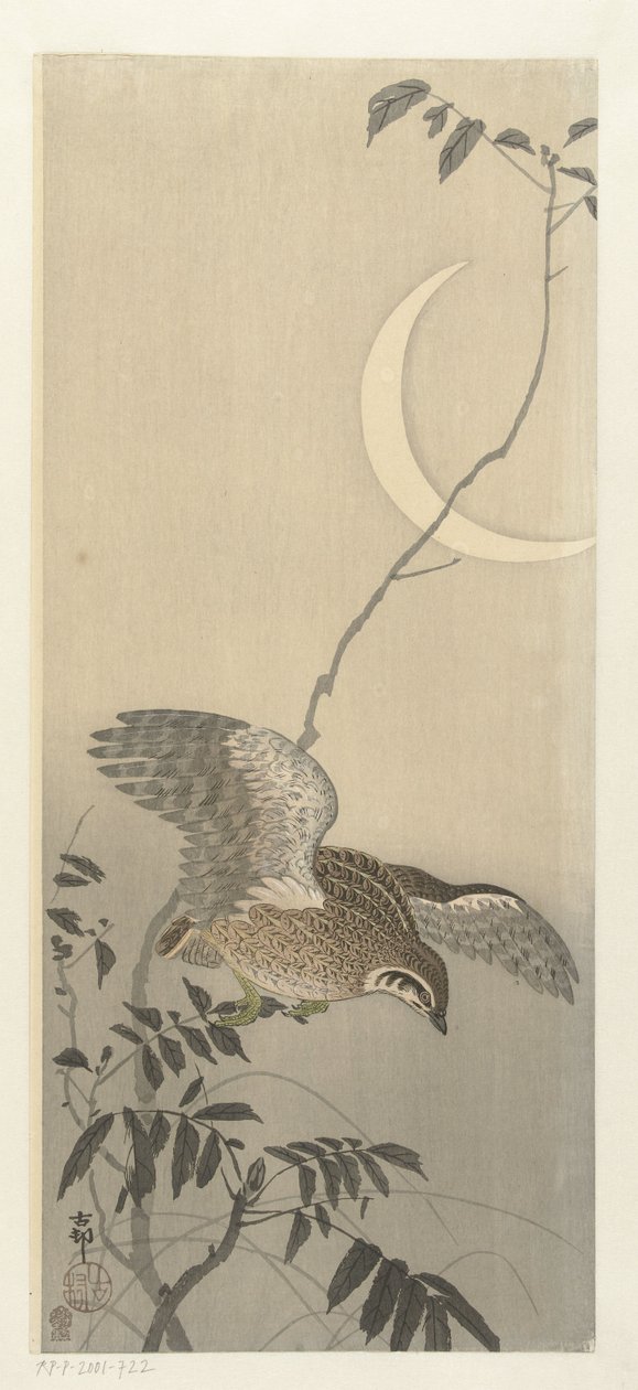 Quaglia alla luna crescente da Ohara Koson
