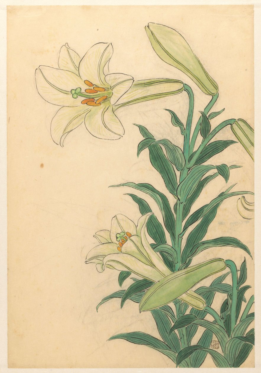 Gigli Teppoyuri da Ohara Koson