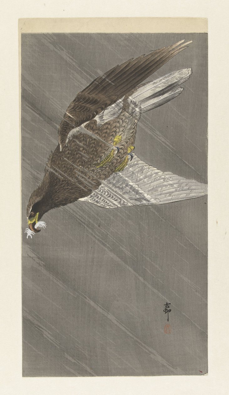 Aquila in picchiata da Ohara Koson