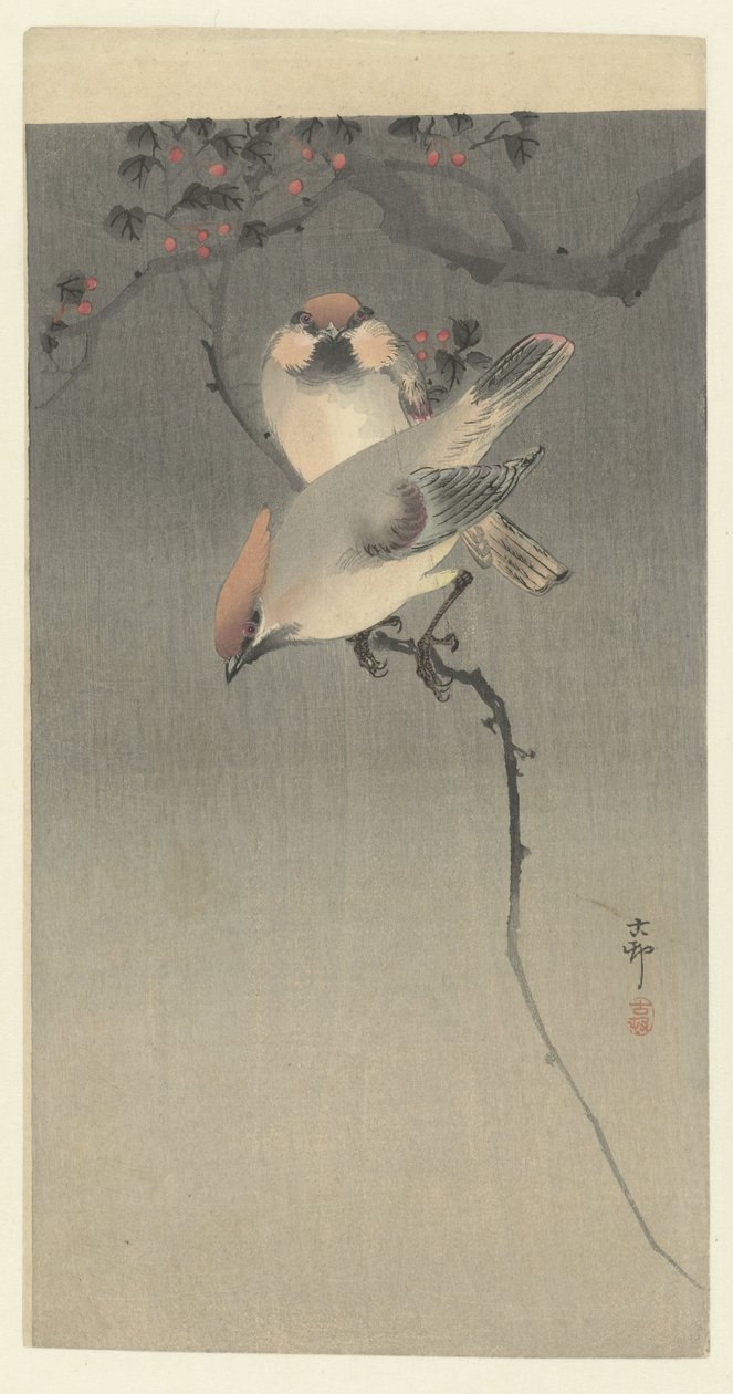 Pestvogel da Ohara Koson