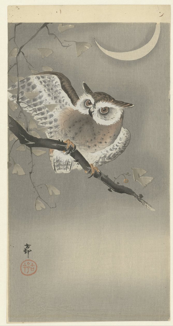 Gufo in ginkgo da Ohara Koson