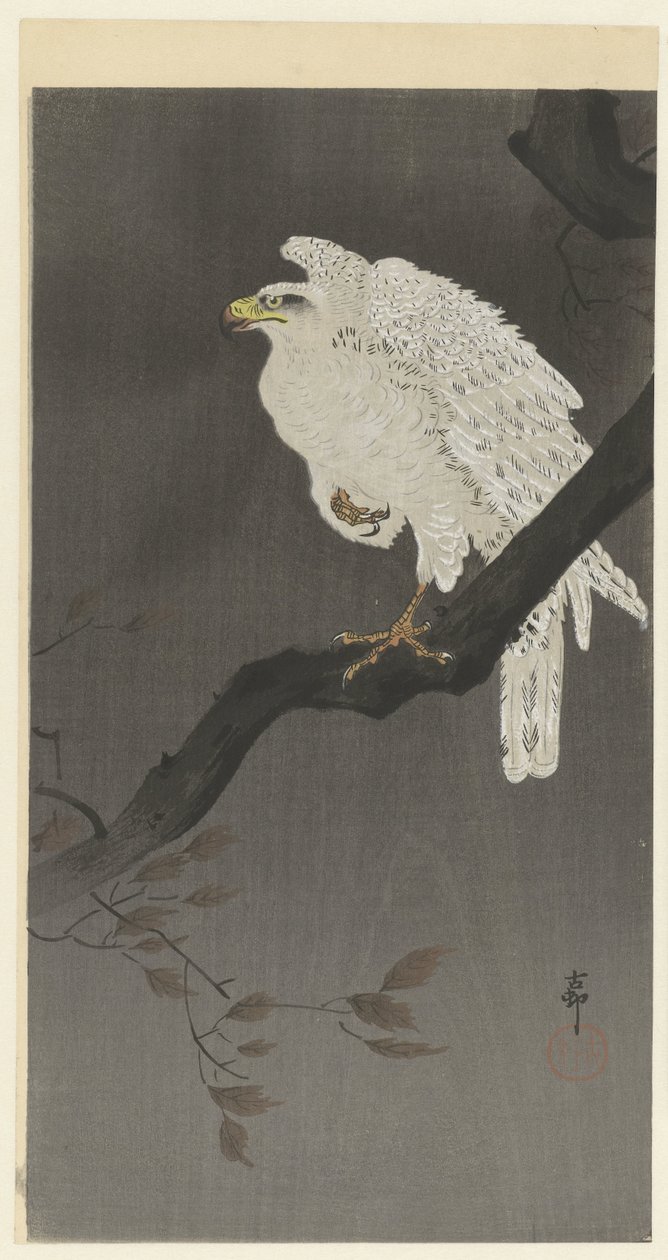 Aquila delle nevi su un ramo da Ohara Koson