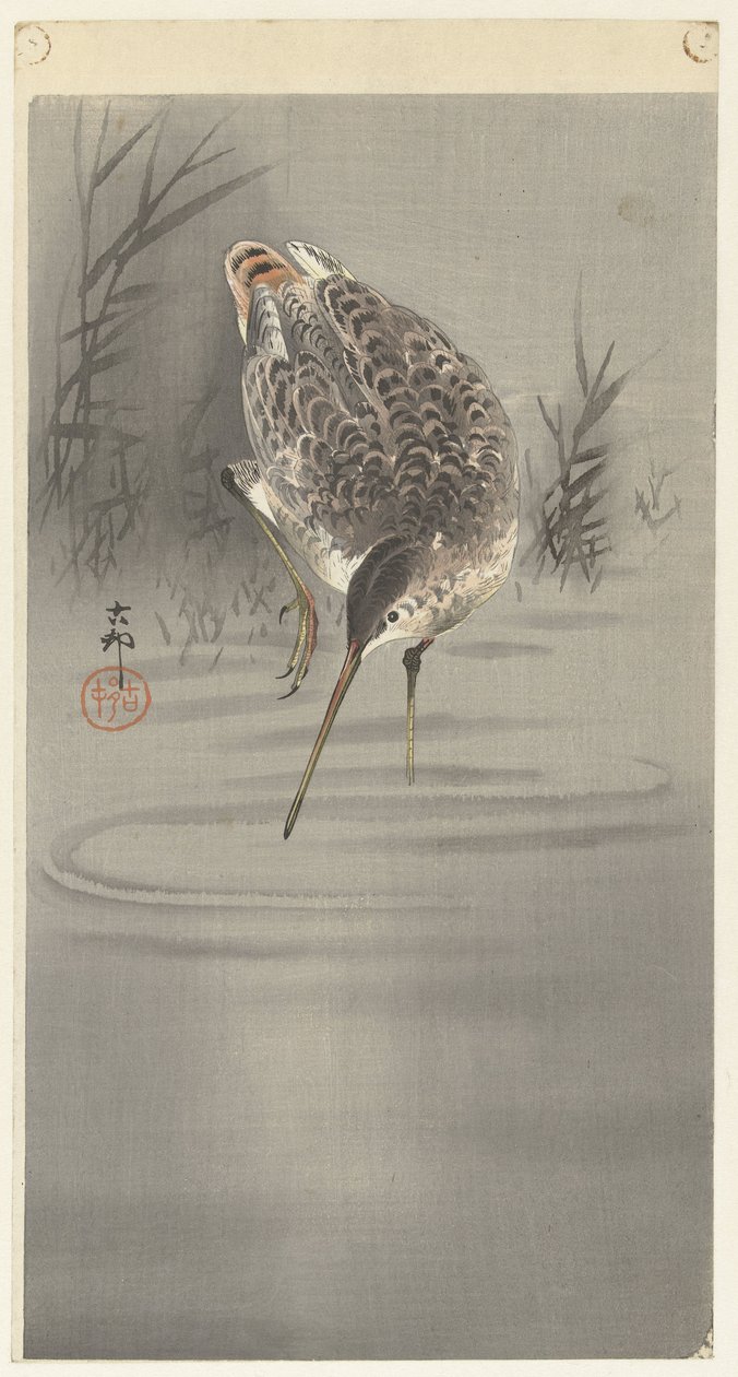 Beccaccia in acqua da Ohara Koson