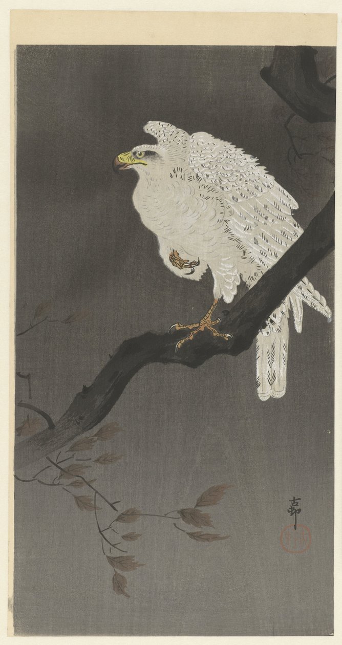 Aquila della neve su un ramo da Ohara Koson