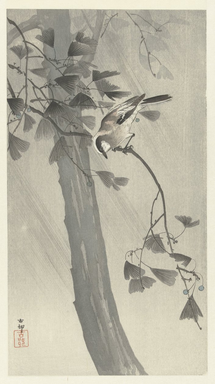 Cincia in tempesta da Ohara Koson