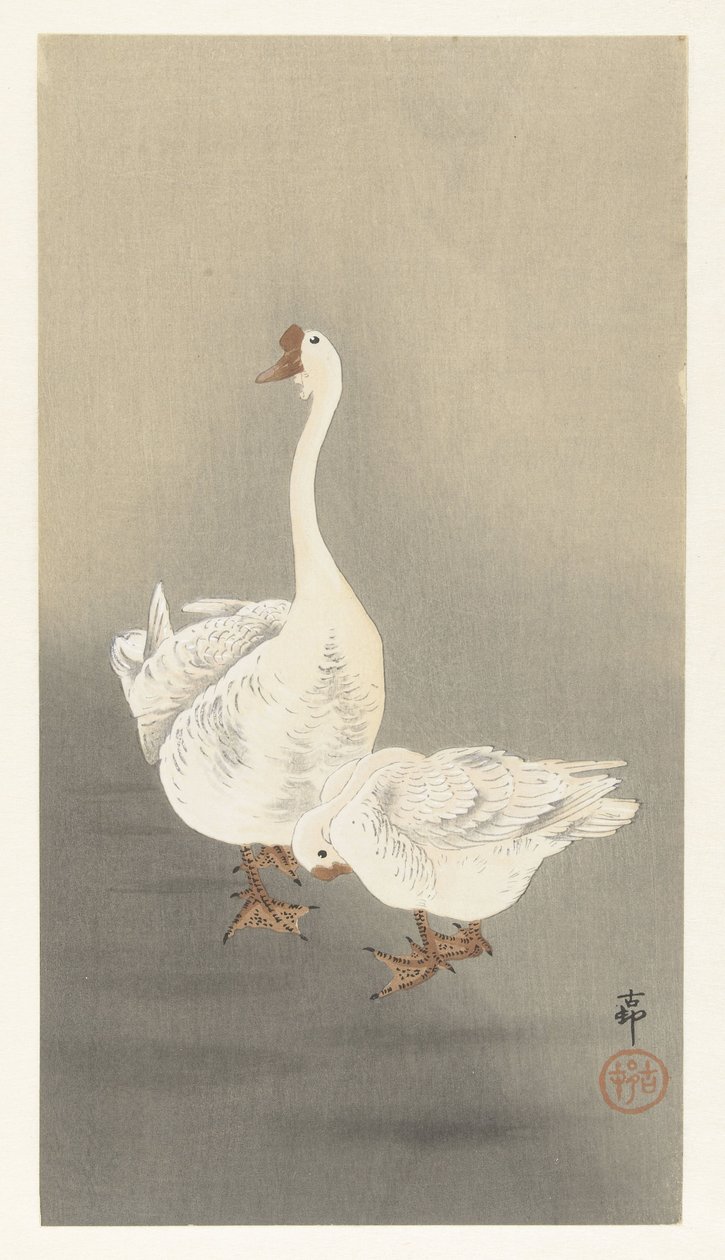 Due oche da Ohara Koson