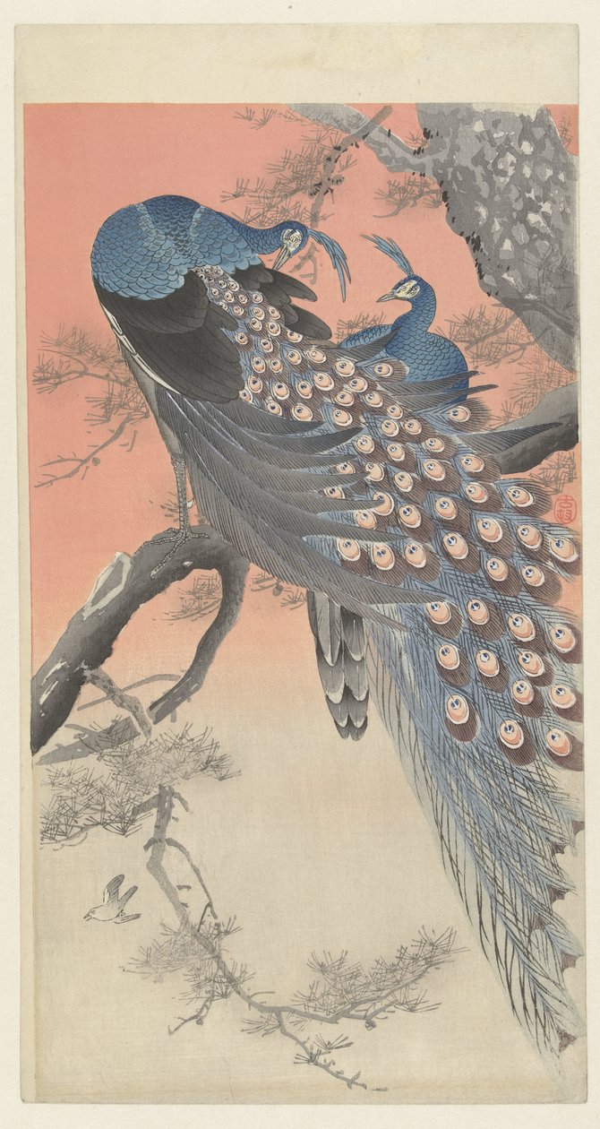 Due pavoni su un ramo da Ohara Koson