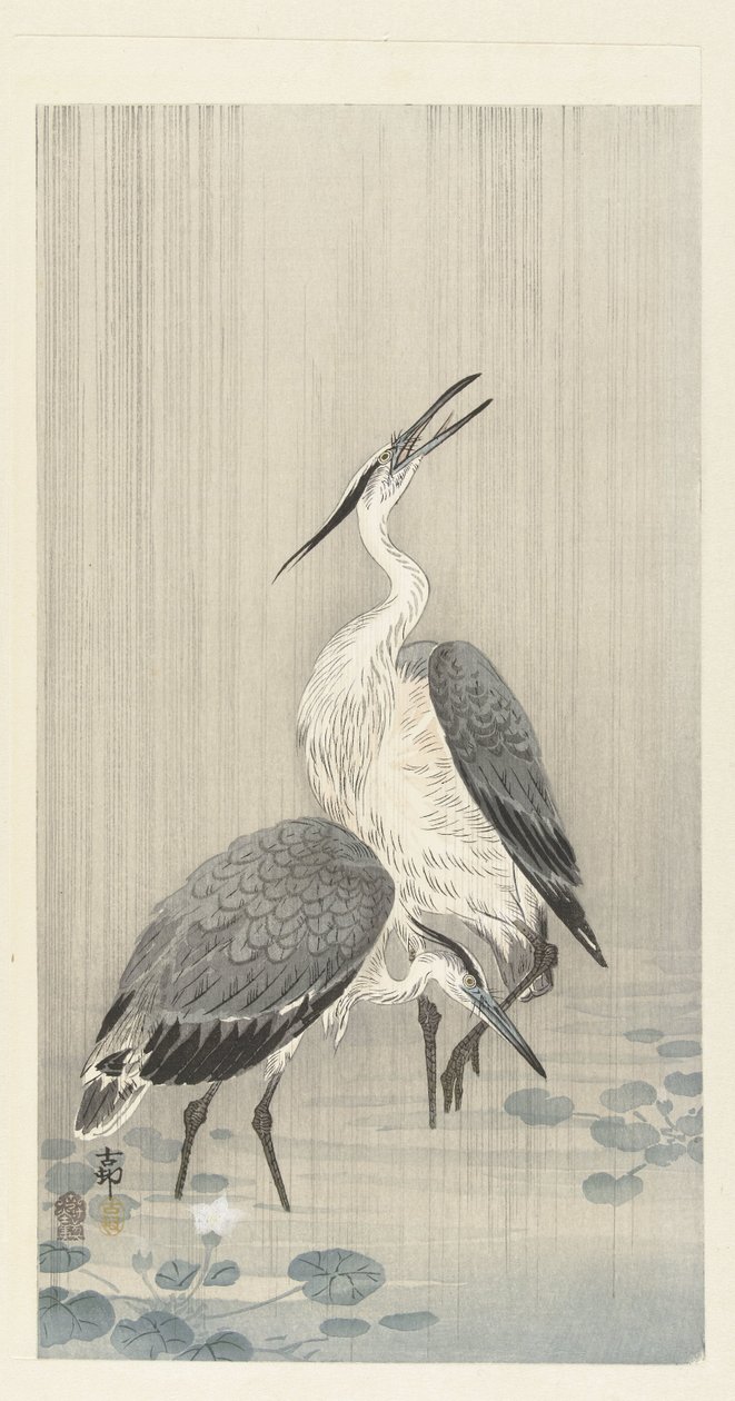 Due aironi nella pioggia da Ohara Koson